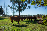 Exteriores Campo